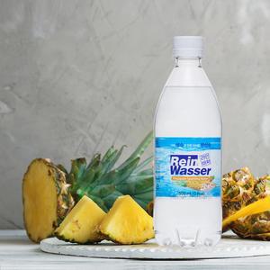 동아오츠카 라인바싸 파인애플 500ml 40개