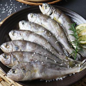 국내산 참맛 알뜰굴비 1.0kg (20미) 1팩/2팩 외