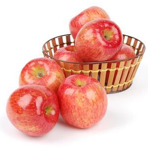 산지직송 농협 충주 못난이사과 3kg (랜덤과)