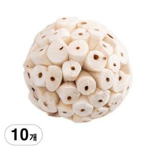 BenF Home 솔라볼 6cm 10개 앵무새 장난감 놀이 용품 이갈이 입질 뜯뜯 쏠라볼 BAA070404