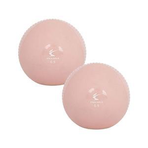 [RGO4R308]홈트 소프트 토닝볼 0 5kg 2개입 초급자 요가볼