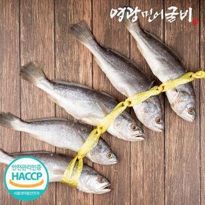 영광 비늘제거 민어 굴비 엮걸이 특대 5미 1.2kg내외