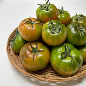 대저토마토 일반혼합과 2.5KG 짭짤이 제철과일 겨울