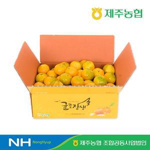 제주농협  하우스감귤 2.5kg 소과 당도선별