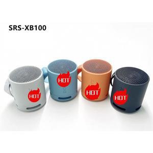 SRS-XB100