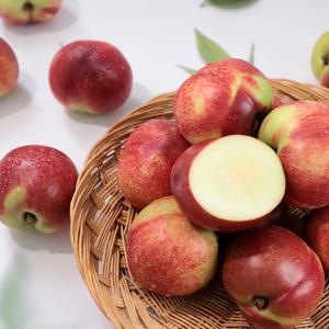 [오감프룻] 꿀당도보장 여름제철 프리미엄 경산 신비복숭아 1-2KG