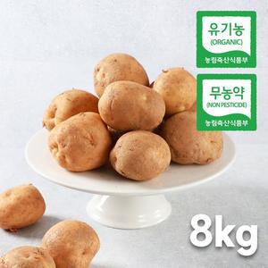 제주 친환경 햇 대지마감자 8kg