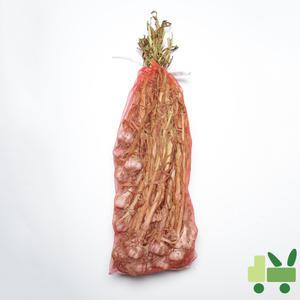 햇마늘 (장아찌용) 한접