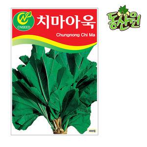 치마아욱씨앗 4000립 아욱종자 채소씨앗 텃밭채소