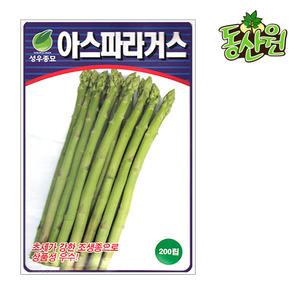 아스파라거스씨앗 200립 아스파라거스 줄기채소 씨앗 채소씨