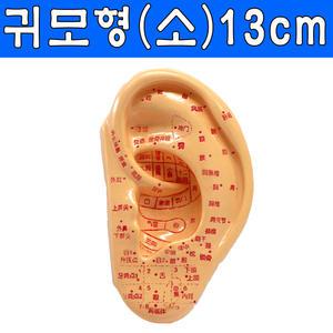 귀모형13cm/귀경혈/혈자리모형/이침요법/인체/한방/이침혈자리