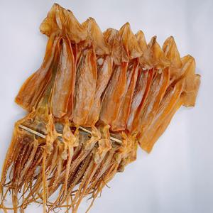 건오징어/10마리 550g 내외 /마른 쫄쫄이 오징어