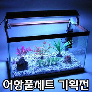 어항 수족관 풀세트 기획/어항세트/수족관세트/가습기