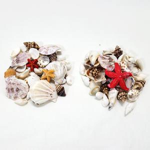 조개 소라 껍데기 모음/DIY 소품 어항 피규어 젤캔들 꾸미기/여름 바다 인테리어용품