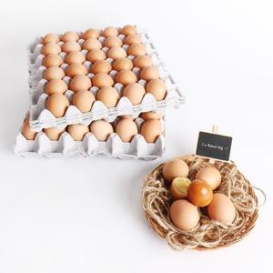 자연애 구운계란 30알 x 2판 60구