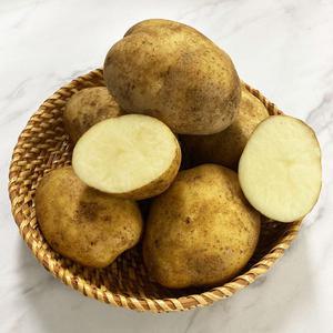 국내산 두백감자 5kg (소/중/특/왕) 포슬포슬 카스테라 느낌 진짜 분감자