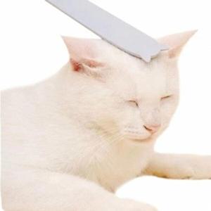 [셀러허브 1][HYIJQSFL_4B]미용 고양이 힐링 그루밍 브러쉬(그레이)