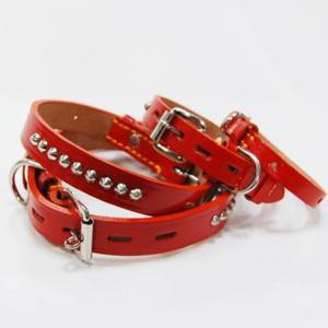Good Pet 징 가죽 목줄 (레드) 12호(12mm) (WFFSNO6)