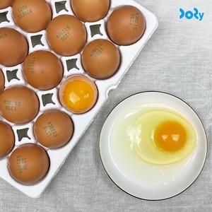 HACCP인증 산지직송 김제 일반 계란 특란 30구