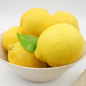 제주레몬 생레몬 국산 제주도 혼합랜덤 1kg (4-13과 내외) / NO방부제 NO강제착색 NO왁스코팅 NO광택약품