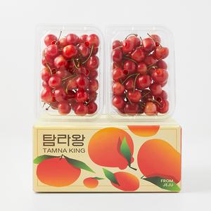 [탐라왕] 제주 체리 600g (300gx2팩) / 홍수봉 레이니어 품종