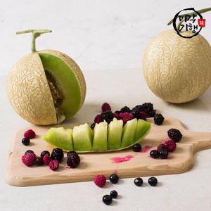 [미각기행](G)미각기행 고당도 하니원멜론 대과 3과 4.0kg 내외
