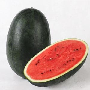[오늘의과일] 국내산 베개수박 5kg이상