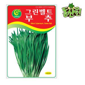 부추씨앗 1000립 그린벨트부추종자 채소씨앗