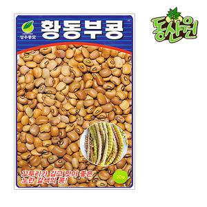 황동부콩씨앗 30g 동부콩 콩종자 텃밭채소씨앗