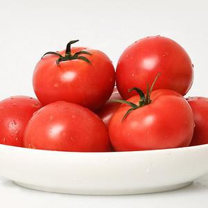 완숙토마토 5kg 4-5번