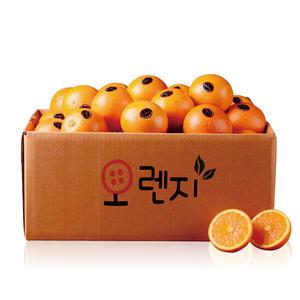 [감동]고당도 블랙라벨 오렌지 중소과 40과_6kg