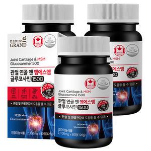 관절 연골 엔 MSM 엠에스엠 글루코사민 3통 3개월 조인트 부원료 초록입홍합 상어연골 분말