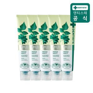 덴티스테 부드러운 거품치약 마일드 200g 5개