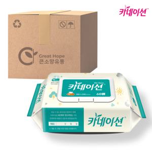 카네이션 플레인 물티슈 60매 10팩 (초록)