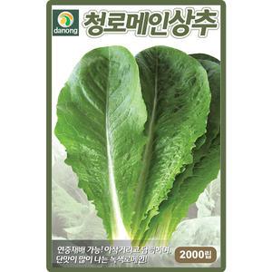 다농 청로메인상추 씨앗 2000립 그린로메인 상추씨 쌈채소 종자