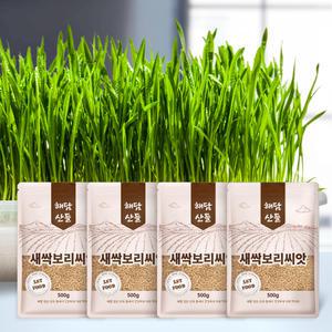 국산 새싹 보리 씨앗 2kg (500g x 4봉) l 겉보리 키우기 l 지퍼팩 소포장
