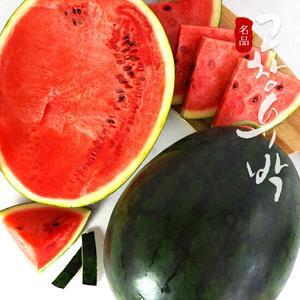 [고창특산물]블랙라벨 고창 흑수박 로얄특대과 10kg미만(선물용)