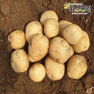 [6/16 순차입고][미소드림] 두백감자 5kg  왕(180g이상)
