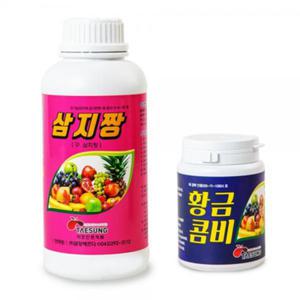 탄저병엔 삼지짱 1리터 황금콤비 250g 각1병씩