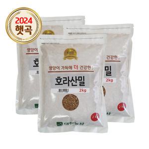 호라산밀 6kg (2kgx3봉) / 고대곡물 통곡물 안전박스포장
