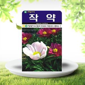 흙닷컴 작약씨앗 100립