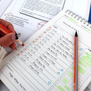 데일리 일일 계획표 스케줄러 생활 학습플래너 타임플래너