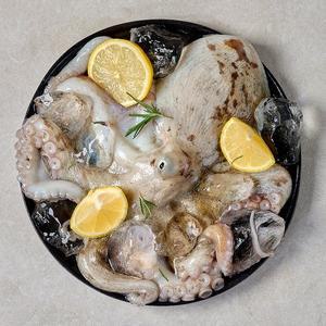 [자연진리]당일조업 통영 자연산 돌문어 1kg(1-3미)