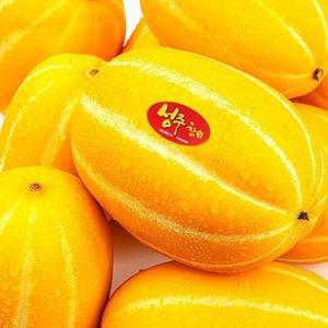 고당도 맛보장 성주 꿀 참외 성주참외 중과 5kg / 가정용 실중량