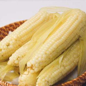 국내산 [구천동 농협] 무주 대학 찰옥수수 180g 30개