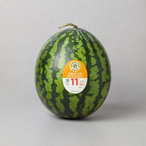 유명산지 수박 9~10kg미만
