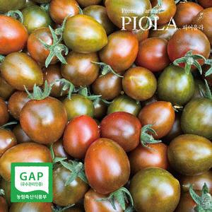 GAP 짭짤이 대저 흑대추방울토마토 대과(1-2번과) 500g/1kg/2kg