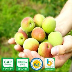[기타](6/17~순차출고) 수향농원 광양 매실 원액용 황매실 5kg 10kg 120일수확 매실액 매실주
