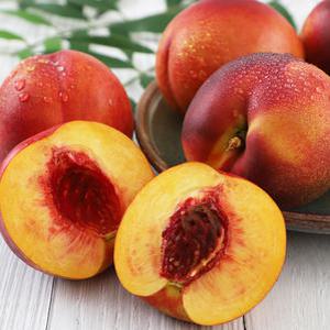 [오감프룻] 새콤달콤 당도보장 영천 경산 천도복숭아 1~2kg