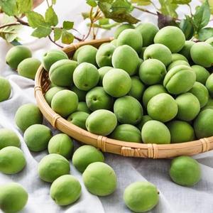 옥과농협 남도 햇 청매실 5kg 왕왕 (37-39mm)